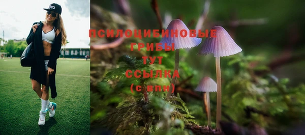 стафф Алексин