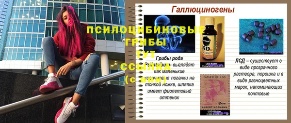 МДПВ Алексеевка