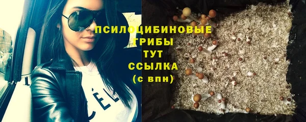 спиды Алзамай